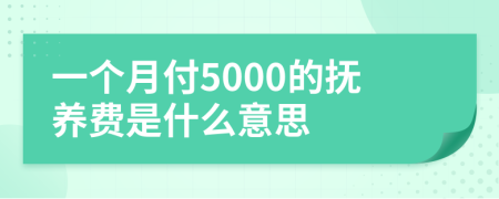 一个月付5000的抚养费是什么意思