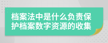档案法中是什么负责保护档案数字资源的收集