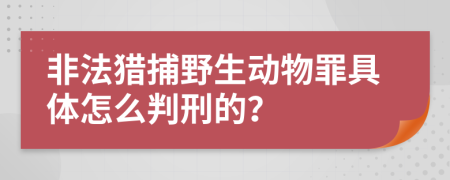 非法猎捕野生动物罪具体怎么判刑的？