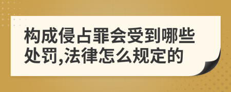 构成侵占罪会受到哪些处罚,法律怎么规定的