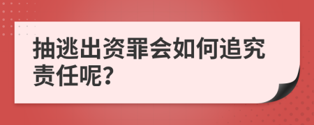 抽逃出资罪会如何追究责任呢？