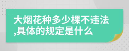 大烟花种多少棵不违法,具体的规定是什么