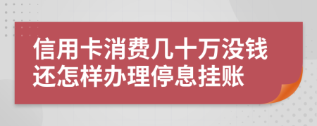 信用卡消费几十万没钱还怎样办理停息挂账
