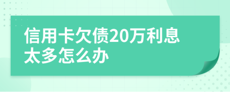 信用卡欠债20万利息太多怎么办