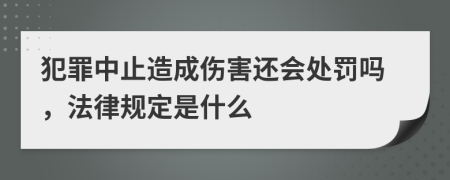 犯罪中止造成伤害还会处罚吗，法律规定是什么