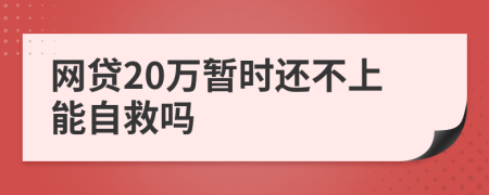 网贷20万暂时还不上能自救吗