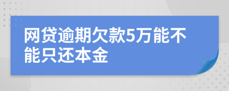 网贷逾期欠款5万能不能只还本金