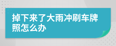 掉下来了大雨冲刷车牌照怎么办