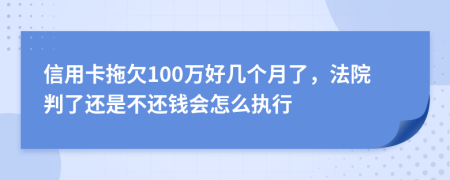 信用卡拖欠100万好几个月了，法院判了还是不还钱会怎么执行