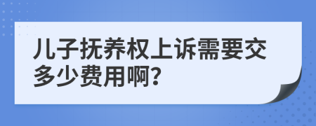 儿子抚养权上诉需要交多少费用啊？