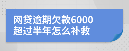 网贷逾期欠款6000超过半年怎么补救