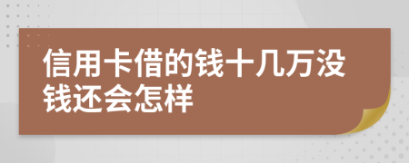 信用卡借的钱十几万没钱还会怎样