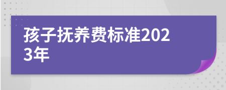 孩子抚养费标准2023年