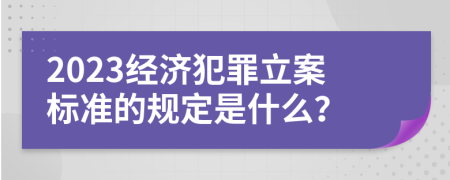 2023经济犯罪立案标准的规定是什么？