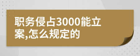 职务侵占3000能立案,怎么规定的