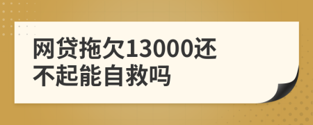 网贷拖欠13000还不起能自救吗