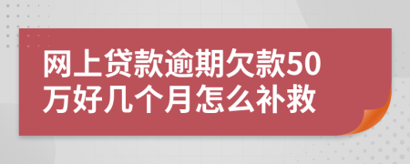 网上贷款逾期欠款50万好几个月怎么补救