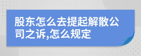 股东怎么去提起解散公司之诉,怎么规定