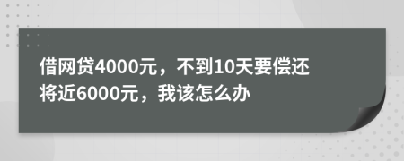 借网贷4000元，不到10天要偿还将近6000元，我该怎么办