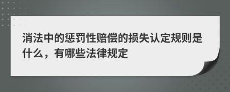 消法中的惩罚性赔偿的损失认定规则是什么，有哪些法律规定