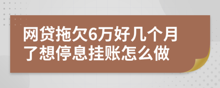 网贷拖欠6万好几个月了想停息挂账怎么做