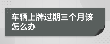 车辆上牌过期三个月该怎么办