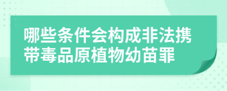 哪些条件会构成非法携带毒品原植物幼苗罪