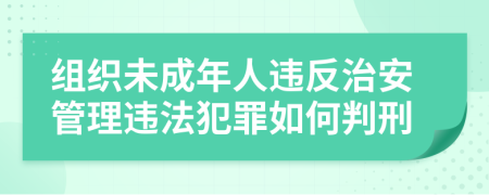 组织未成年人违反治安管理违法犯罪如何判刑