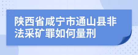 陕西省咸宁市通山县非法采矿罪如何量刑