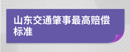 山东交通肇事最高赔偿标准