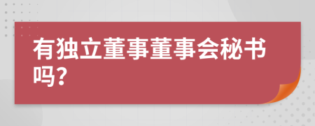 有独立董事董事会秘书吗？