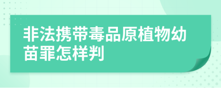 非法携带毒品原植物幼苗罪怎样判