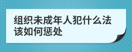 组织未成年人犯什么法该如何惩处