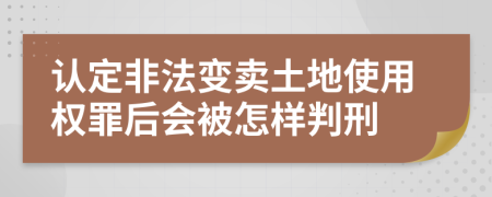 认定非法变卖土地使用权罪后会被怎样判刑