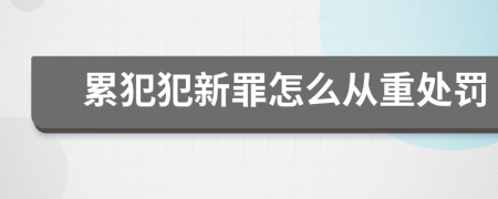 累犯犯新罪怎么从重处罚