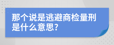 那个说是逃避商检量刑是什么意思?