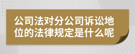 公司法对分公司诉讼地位的法律规定是什么呢