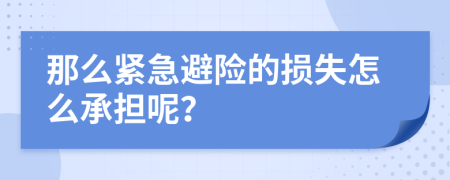 那么紧急避险的损失怎么承担呢？