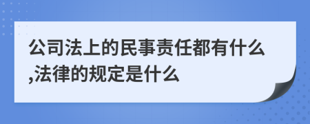 公司法上的民事责任都有什么,法律的规定是什么