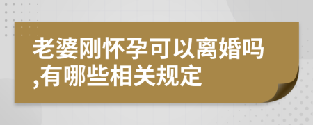 老婆刚怀孕可以离婚吗,有哪些相关规定