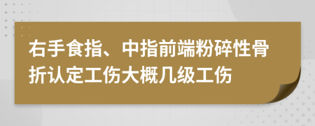 右手食指、中指前端粉碎性骨折认定工伤大概几级工伤