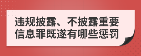 违规披露、不披露重要信息罪既遂有哪些惩罚