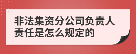 非法集资分公司负责人责任是怎么规定的