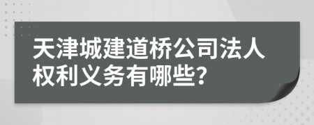 天津城建道桥公司法人权利义务有哪些？