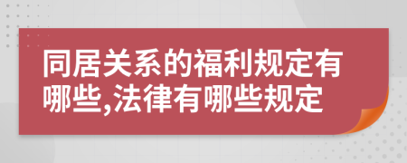 同居关系的福利规定有哪些,法律有哪些规定