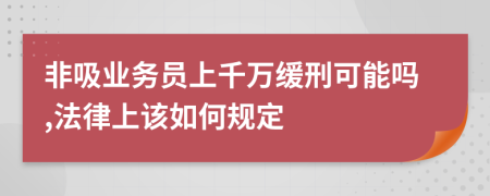 非吸业务员上千万缓刑可能吗,法律上该如何规定