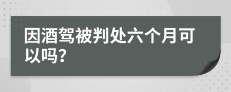 因酒驾被判处六个月可以吗？