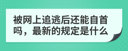 被网上追逃后还能自首吗，最新的规定是什么