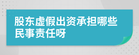 股东虚假出资承担哪些民事责任呀