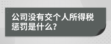 公司没有交个人所得税惩罚是什么？